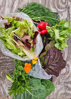 OTIS Fresh CSA FLASH Sale